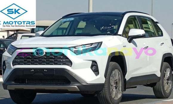 Acheter Import Voiture Toyota RAV 4 Blanc à Import - Dubai, Bandundu