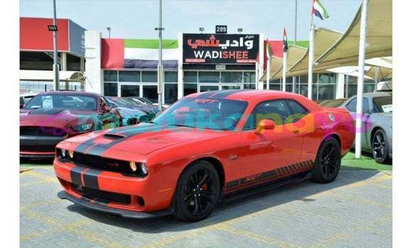 Acheter Import Voiture Dodge Challenger Rouge à Import - Dubai, Bandundu