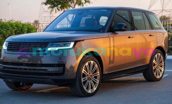 Acheter Import Voiture Land Rover Range Rover Marron à Import - Dubai, Bandundu