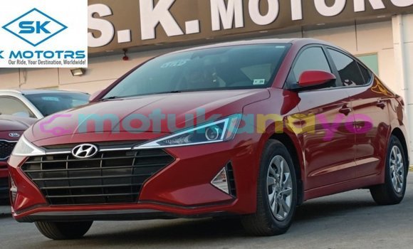 Acheter Import Voiture Hyundai Elantra Rouge à Import - Dubai, Bandundu