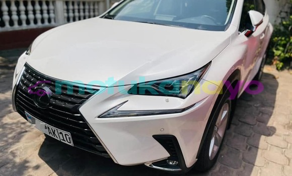 Buy Used Lexus NX White Car in Kinshasa in Kinshasa Buy Used Lexus NX White Car in Kinshasa in Kinshasa