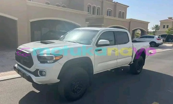 Buy Used Toyota Tacoma White Car in Kinshasa in Kinshasa Buy Used Toyota Tacoma White Car in Kinshasa in Kinshasa