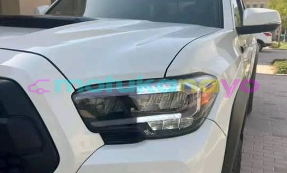 Buy Used Toyota Tacoma White Car in Kinshasa in Kinshasa Buy Used Toyota Tacoma White Car in Kinshasa in Kinshasa