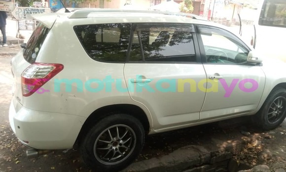 Buy Used Toyota Vanguard White Car in Kinshasa in Kinshasa Buy Used Toyota Vanguard White Car in Kinshasa in Kinshasa