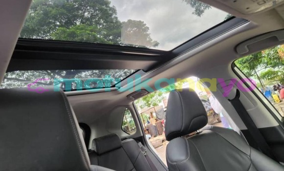 Acheter Neuf Voiture Toyota RAV 4 Bleu à Kinshasa, Kinshasa Acheter Neuf Voiture Toyota RAV 4 Bleu à Kinshasa, Kinshasa