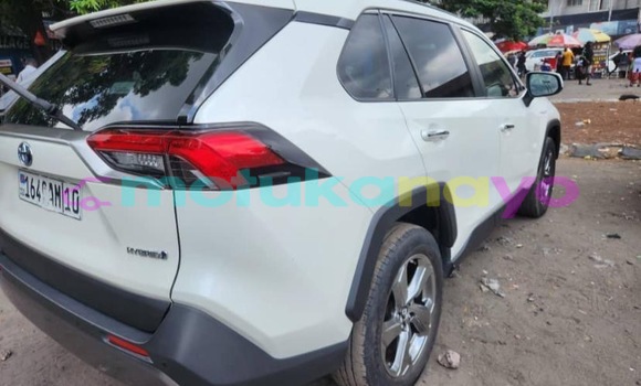 Acheter Neuf Voiture Toyota RAV4 Blanc à Kinshasa, Kinshasa Acheter Neuf Voiture Toyota RAV4 Blanc à Kinshasa, Kinshasa