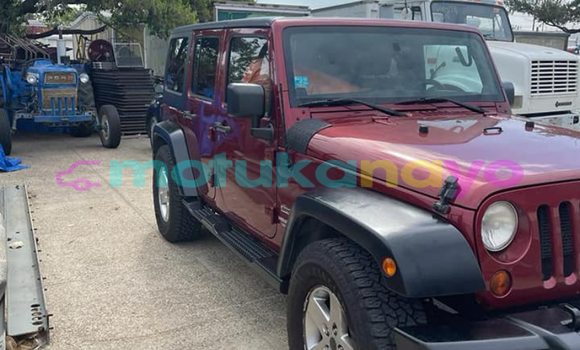 Wrangler sales 31000 gk