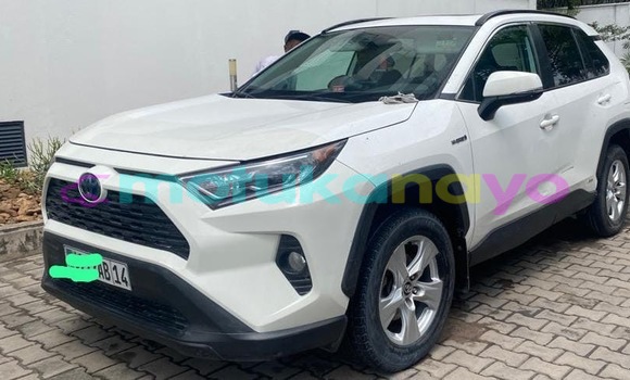 Acheter Neuf Voiture Toyota RAV4 Blanc à Kinshasa, Kinshasa Acheter Neuf Voiture Toyota RAV4 Blanc à Kinshasa, Kinshasa
