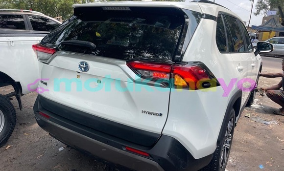 Acheter Neuf Voiture Toyota RAV4 Blanc à Kinshasa, Kinshasa Acheter Neuf Voiture Toyota RAV4 Blanc à Kinshasa, Kinshasa