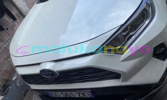 Acheter Neuf Voiture Toyota RAV4 Blanc à Kinshasa, Kinshasa Acheter Neuf Voiture Toyota RAV4 Blanc à Kinshasa, Kinshasa