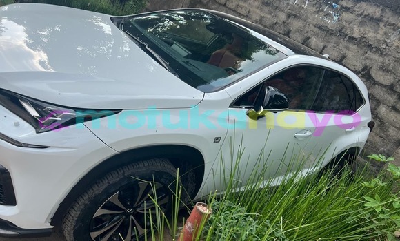 Acheter Neuf Voiture Lexus NX Blanc à Kinshasa, Kinshasa Acheter Neuf Voiture Lexus NX Blanc à Kinshasa, Kinshasa