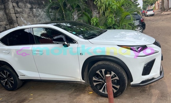 Acheter Neuf Voiture Lexus NX Blanc à Kinshasa, Kinshasa Acheter Neuf Voiture Lexus NX Blanc à Kinshasa, Kinshasa