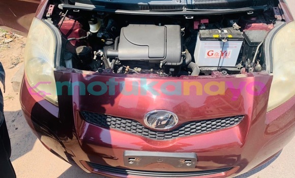 Buy Used Toyota Vitz Red Car in Kinshasa in Kinshasa Buy Used Toyota Vitz Red Car in Kinshasa in Kinshasa
