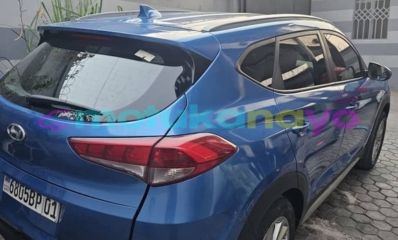 Buy New Hyundai Tucson Blue Car in Kinshasa in Kinshasa Buy New Hyundai Tucson Blue Car in Kinshasa in Kinshasa