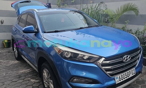 Buy New Hyundai Tucson Blue Car in Kinshasa in Kinshasa Buy New Hyundai Tucson Blue Car in Kinshasa in Kinshasa