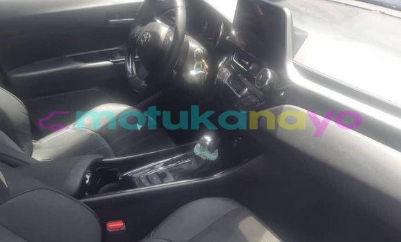 Buy New Toyota C-HR Blue Car in Kinshasa in Kinshasa Buy New Toyota C-HR Blue Car in Kinshasa in Kinshasa