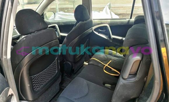 Buy Used Toyota RAV4 Black Car in Bafwasende in Haut-Congo Buy Used Toyota RAV4 Black Car in Bafwasende in Haut-Congo