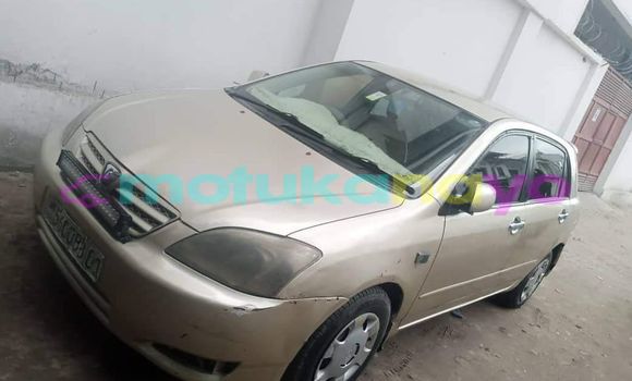 Buy Used Toyota Allex Other Car in Bandundu in Bandundu Buy Used Toyota Allex Other Car in Bandundu in Bandundu