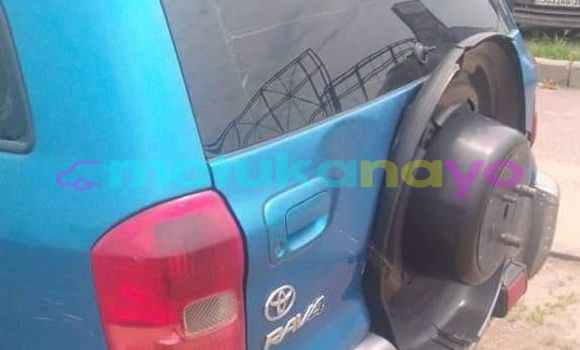 Buy Used Toyota RAV4 Blue Car in Bandundu in Bandundu Buy Used Toyota RAV4 Blue Car in Bandundu in Bandundu
