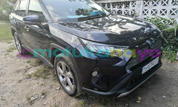 Acheter Occasion Voiture Toyota RAV 4 Bleu à Kinshasa, Kinshasa Acheter Occasion Voiture Toyota RAV 4 Bleu à Kinshasa, Kinshasa