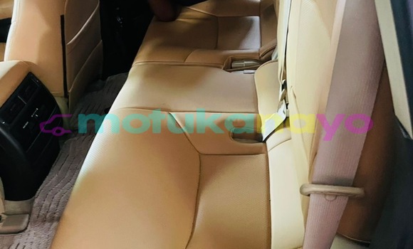 Acheter Occasion Voiture Toyota Land Cruiser Gris à Kinshasa, Kinshasa Acheter Occasion Voiture Toyota Land Cruiser Gris à Kinshasa, Kinshasa