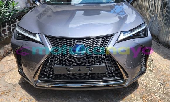 Acheter Neuf Voiture Lexus UX Gris à Kinshasa, Kinshasa Acheter Neuf Voiture Lexus UX Gris à Kinshasa, Kinshasa