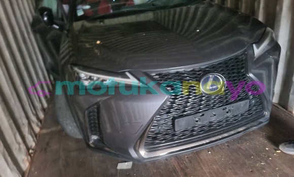 Acheter Neuf Voiture Lexus UX Gris à Kinshasa, Kinshasa Acheter Neuf Voiture Lexus UX Gris à Kinshasa, Kinshasa