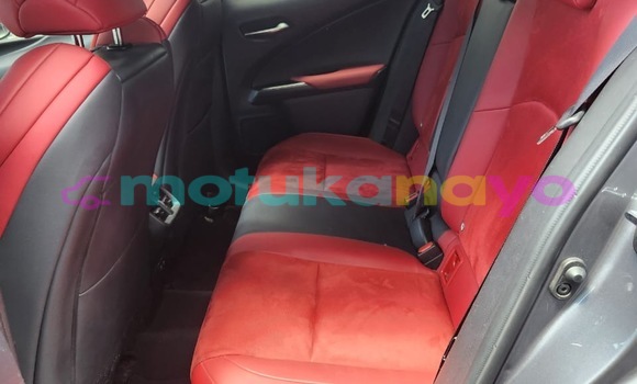 Acheter Neuf Voiture Lexus UX Gris à Kinshasa, Kinshasa Acheter Neuf Voiture Lexus UX Gris à Kinshasa, Kinshasa
