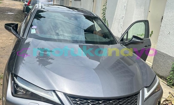 Acheter Neuf Voiture Lexus UX Gris à Kinshasa, Kinshasa Acheter Neuf Voiture Lexus UX Gris à Kinshasa, Kinshasa