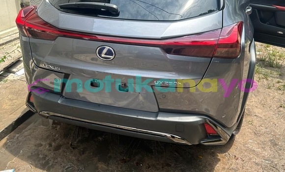 Acheter Neuf Voiture Lexus UX Gris à Kinshasa, Kinshasa Acheter Neuf Voiture Lexus UX Gris à Kinshasa, Kinshasa