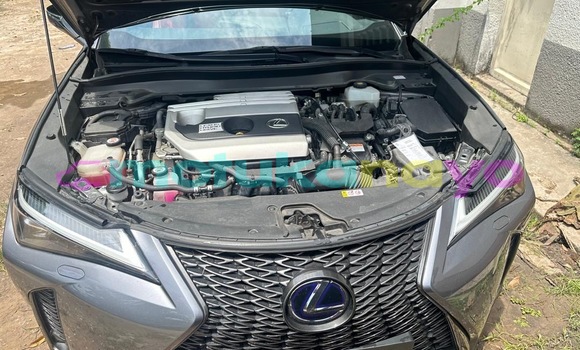 Acheter Neuf Voiture Lexus UX Gris à Kinshasa, Kinshasa Acheter Neuf Voiture Lexus UX Gris à Kinshasa, Kinshasa