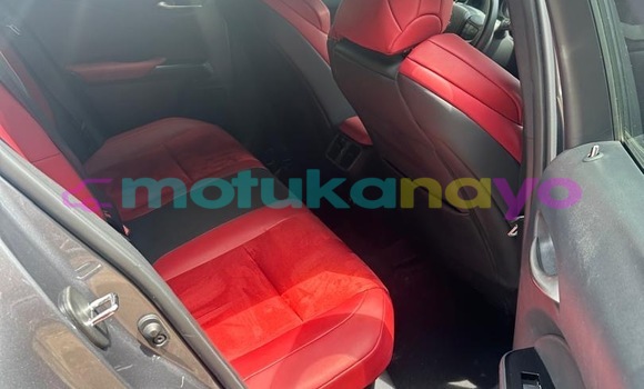 Acheter Neuf Voiture Lexus UX Gris à Kinshasa, Kinshasa Acheter Neuf Voiture Lexus UX Gris à Kinshasa, Kinshasa
