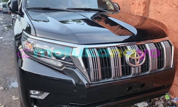 Buy New Toyota Land Cruiser Prado Black Car in Kinshasa in Kinshasa