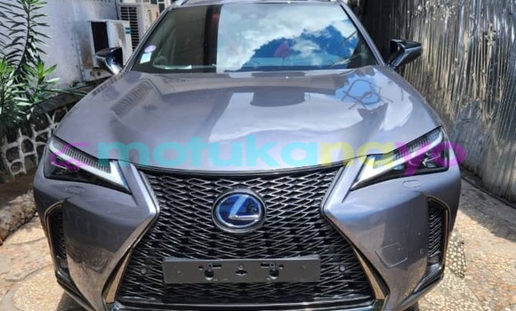 Acheter Neuf Voiture Lexus UX Gris à Kinshasa, Kinshasa Acheter Neuf Voiture Lexus UX Gris à Kinshasa, Kinshasa