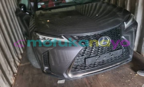 Acheter Neuf Voiture Lexus UX Gris à Kinshasa, Kinshasa Acheter Neuf Voiture Lexus UX Gris à Kinshasa, Kinshasa