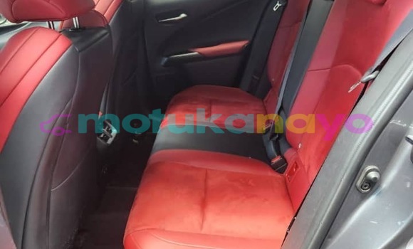 Acheter Neuf Voiture Lexus UX Gris à Kinshasa, Kinshasa Acheter Neuf Voiture Lexus UX Gris à Kinshasa, Kinshasa