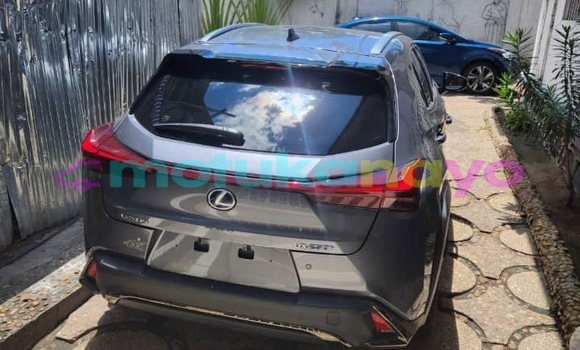 Acheter Neuf Voiture Lexus UX Gris à Kinshasa, Kinshasa Acheter Neuf Voiture Lexus UX Gris à Kinshasa, Kinshasa