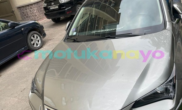 Acheter Occasion Voiture Lexus NX Gris à Kinshasa, Kinshasa Acheter Occasion Voiture Lexus NX Gris à Kinshasa, Kinshasa