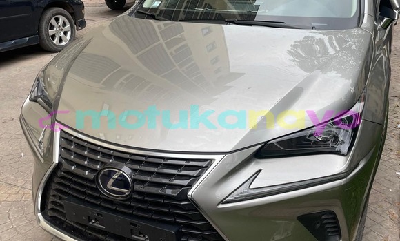 Acheter Occasion Voiture Lexus NX Gris à Kinshasa, Kinshasa Acheter Occasion Voiture Lexus NX Gris à Kinshasa, Kinshasa