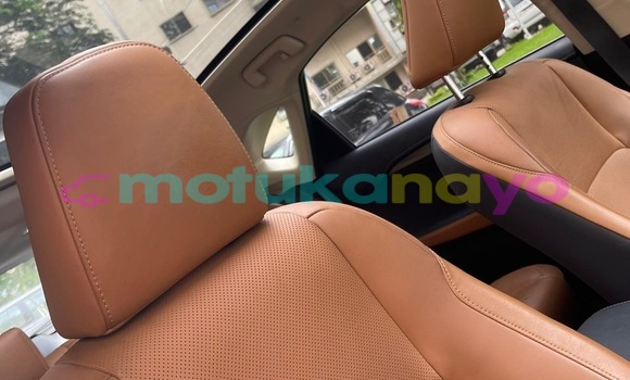 Acheter Occasion Voiture Lexus NX Gris à Kinshasa, Kinshasa Acheter Occasion Voiture Lexus NX Gris à Kinshasa, Kinshasa