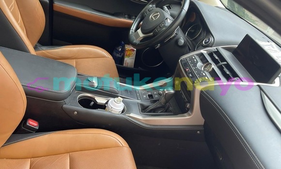 Acheter Occasion Voiture Lexus NX Gris à Kinshasa, Kinshasa Acheter Occasion Voiture Lexus NX Gris à Kinshasa, Kinshasa