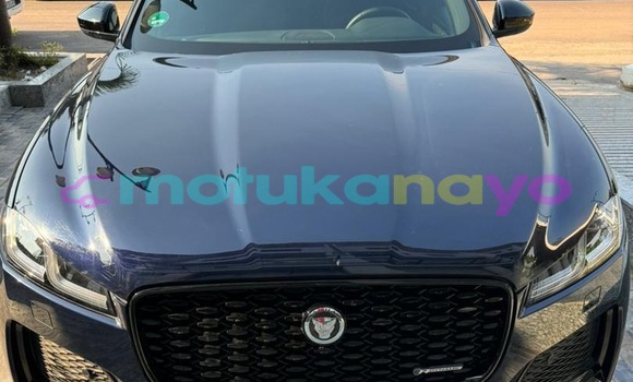 Acheter Occasion Voiture Jaguar F-Type Bleu à Kinshasa, Kinshasa