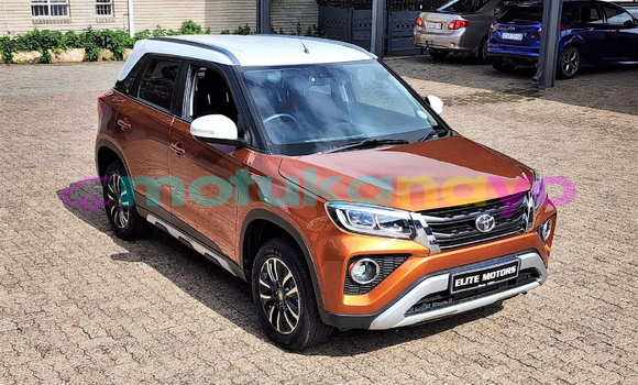 Buy Used Toyota Urban Cruiser Brown Car in Kinshasa in Kinshasa Buy Used Toyota Urban Cruiser Brown Car in Kinshasa in Kinshasa