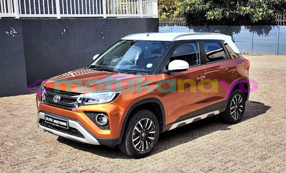 Buy Used Toyota Urban Cruiser Brown Car in Kinshasa in Kinshasa Buy Used Toyota Urban Cruiser Brown Car in Kinshasa in Kinshasa