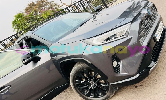 Acheter Occasion Voiture Toyota RAV 4 Gris à Kinshasa, Kinshasa Acheter Occasion Voiture Toyota RAV 4 Gris à Kinshasa, Kinshasa