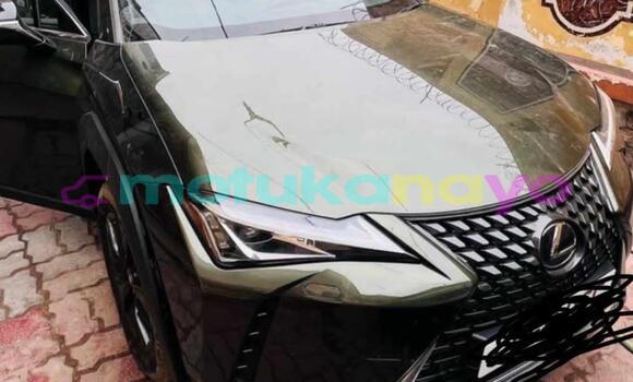 Buy Import Lexus UX Silver Car in Kinshasa in Kinshasa Buy Import Lexus UX Silver Car in Kinshasa in Kinshasa