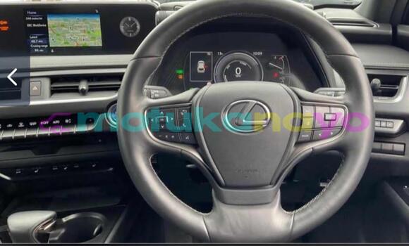 Buy Import Lexus UX Silver Car in Kinshasa in Kinshasa Buy Import Lexus UX Silver Car in Kinshasa in Kinshasa