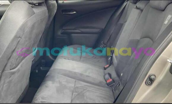 Buy Import Lexus UX Silver Car in Kinshasa in Kinshasa Buy Import Lexus UX Silver Car in Kinshasa in Kinshasa