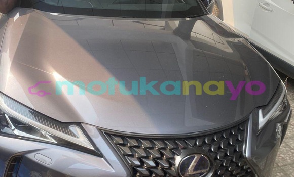 Acheter Occasion Voiture Lexus UX Gris à Kinshasa, Kinshasa Acheter Occasion Voiture Lexus UX Gris à Kinshasa, Kinshasa