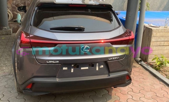 Acheter Occasion Voiture Lexus UX Gris à Kinshasa, Kinshasa Acheter Occasion Voiture Lexus UX Gris à Kinshasa, Kinshasa